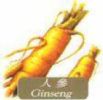 Sell  Ginseng Extract
